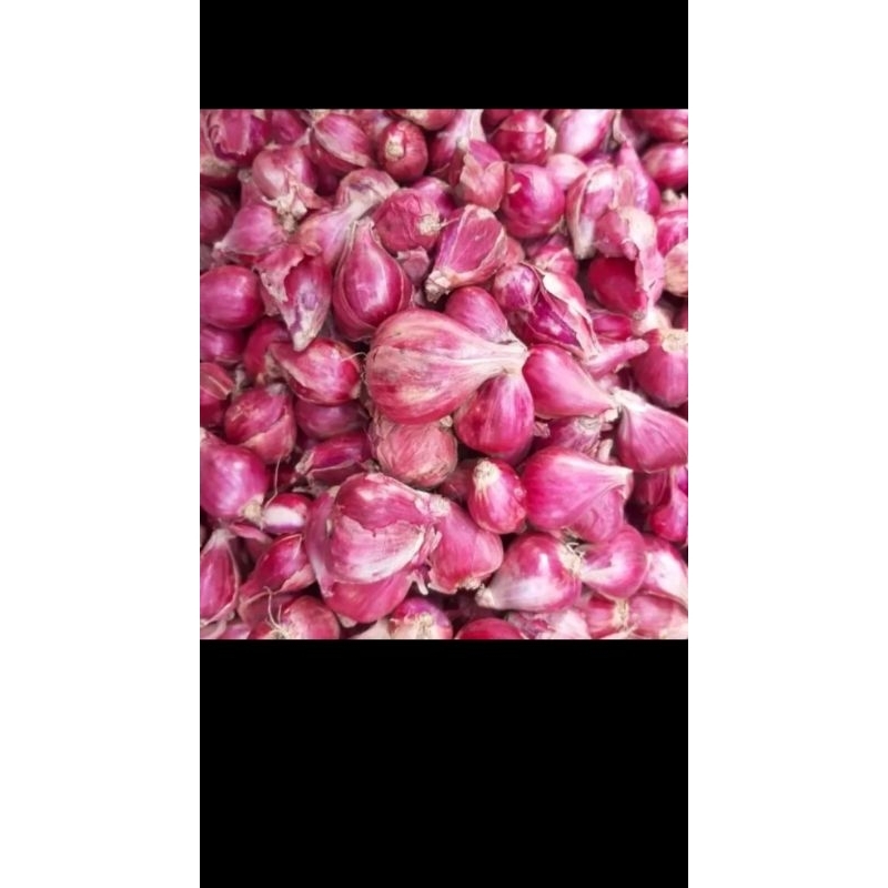 

Bawang merah 1KG / brambang 1KG