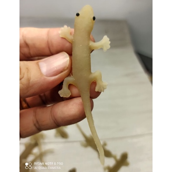 Wow Murah Meriah mainan karet cicak panjang mirip asli