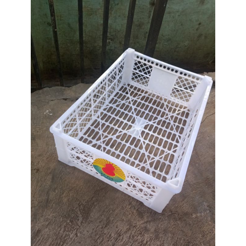 keranjang buah bekas anggur dan jeruk