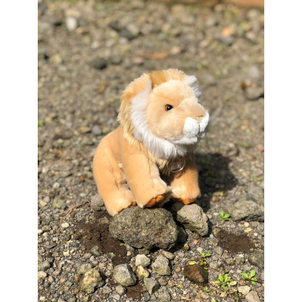 Boneka Singa Lucu | Lion Plush Taman Safari Indonesia