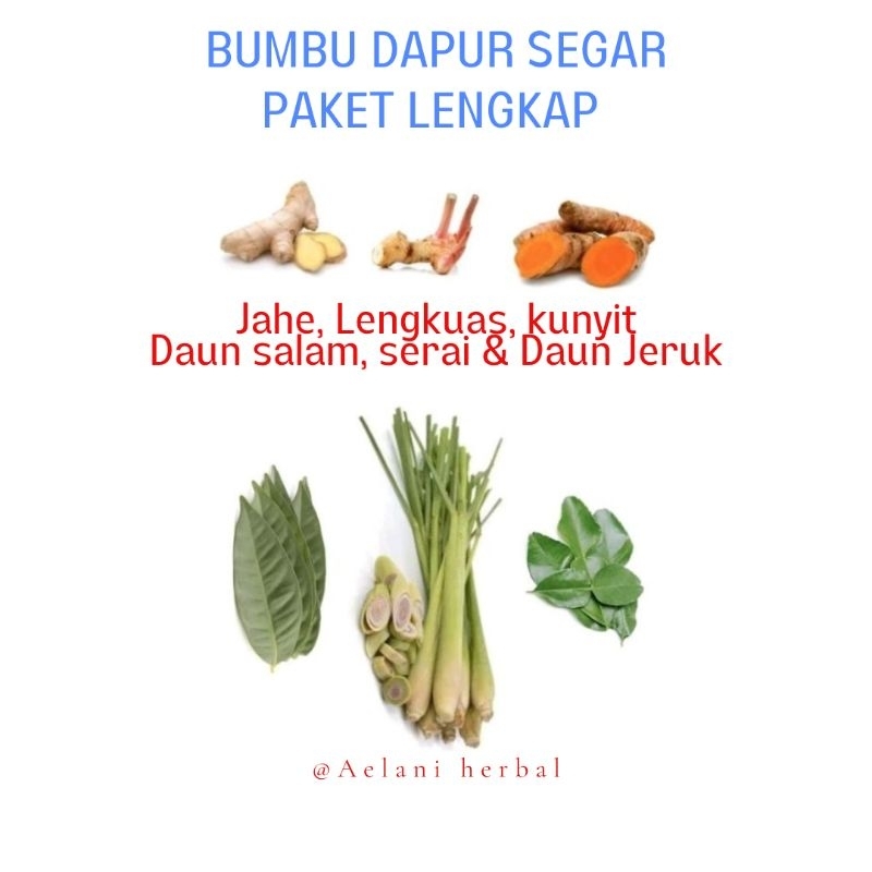 

BUMBU DAPUR PAKET HEMAT