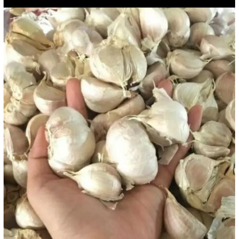 

bawang kating jumbo 1 kg