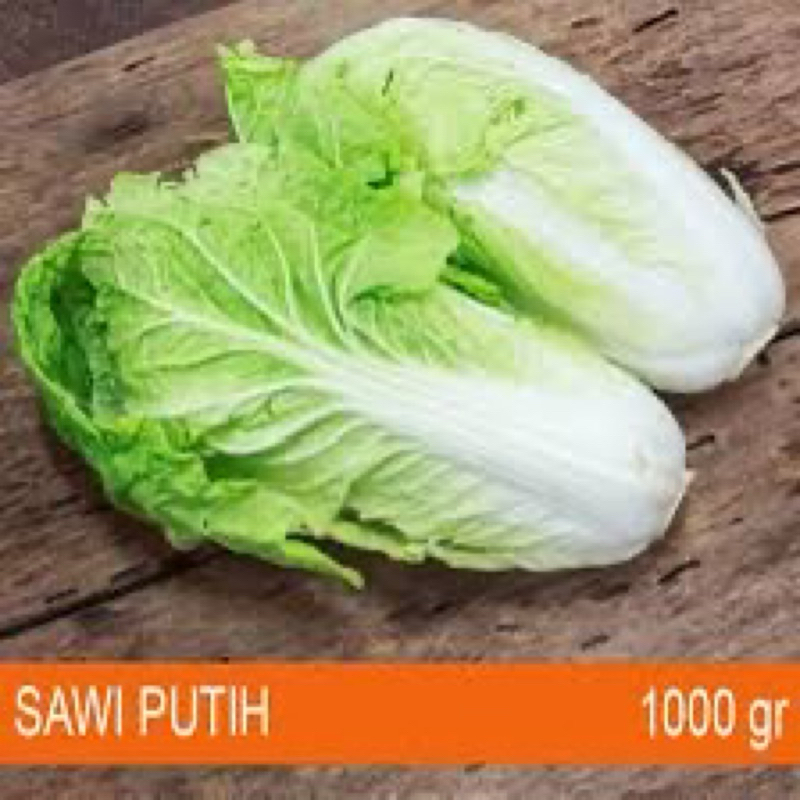 

sawi putih segar fresh