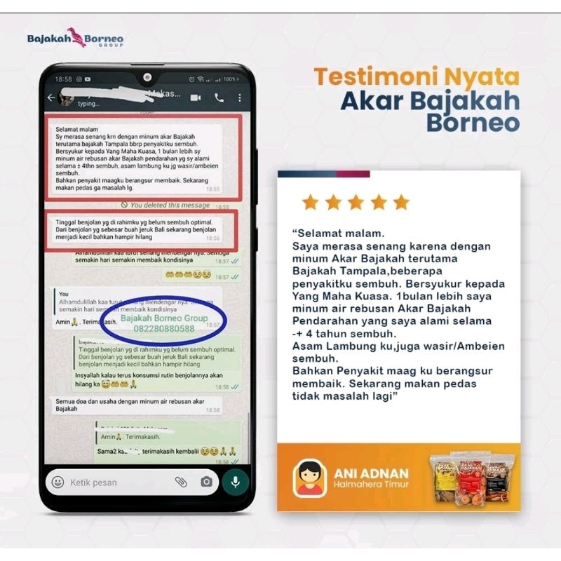 

GFD AKAR BAJAKAH ASLI KALIMANTAN KUALITAS SUPER 250gr.