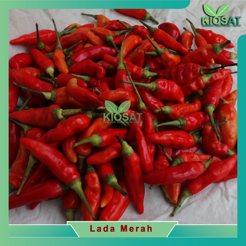 

Cabai rawit Merah fresh 500gr