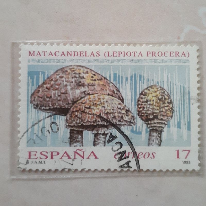 

Perangko Spanyol Mushrooms 1993 (Parasol Mushroom (Lepiota procera)) Tahun 1993