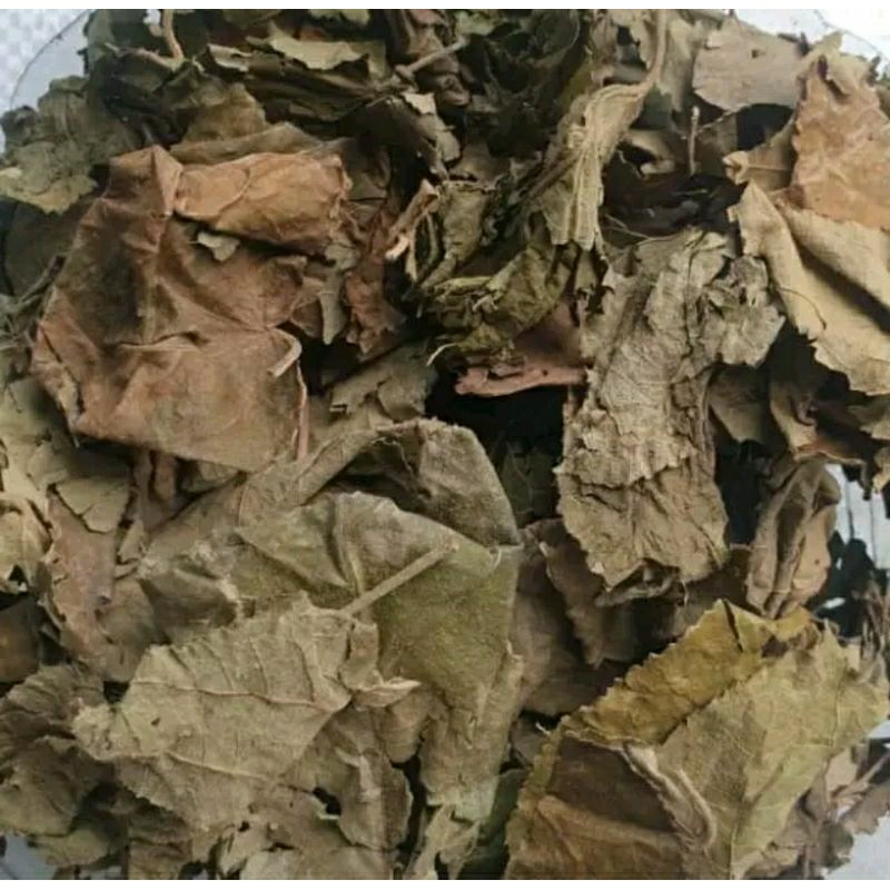 

Daun jati Belanda kering 1 kg / 500gr