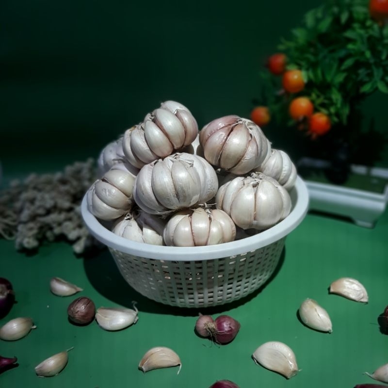 

BAWANG PUTIH 1kg