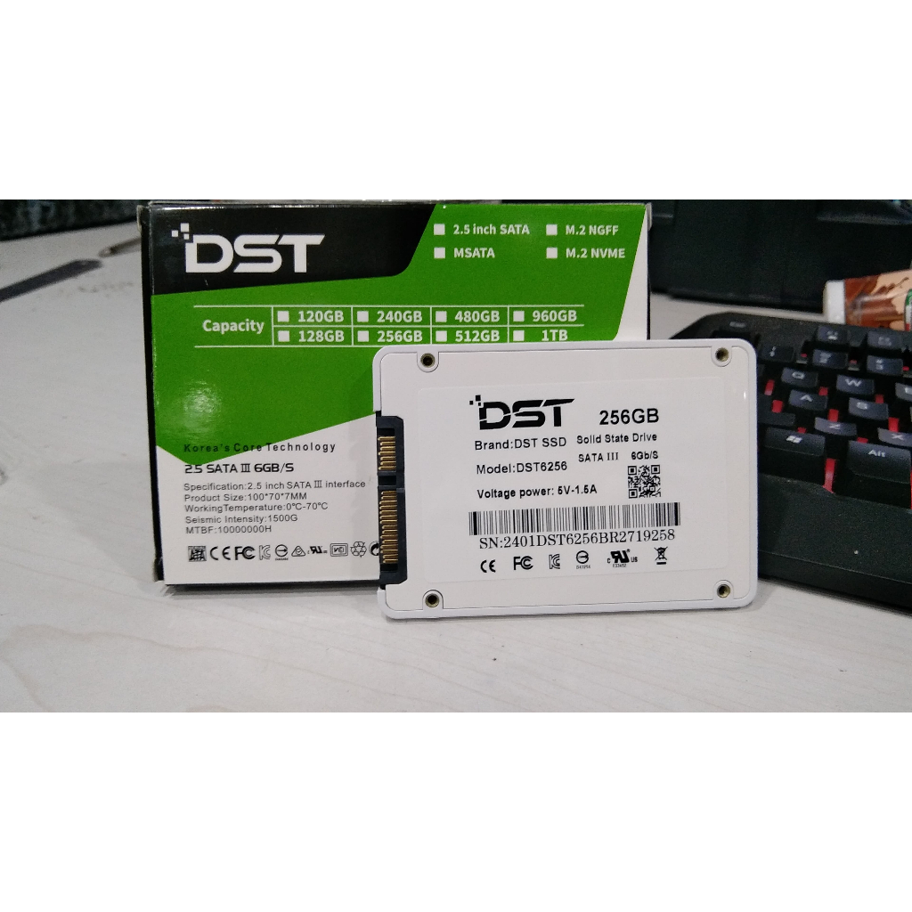 SSD DST 256