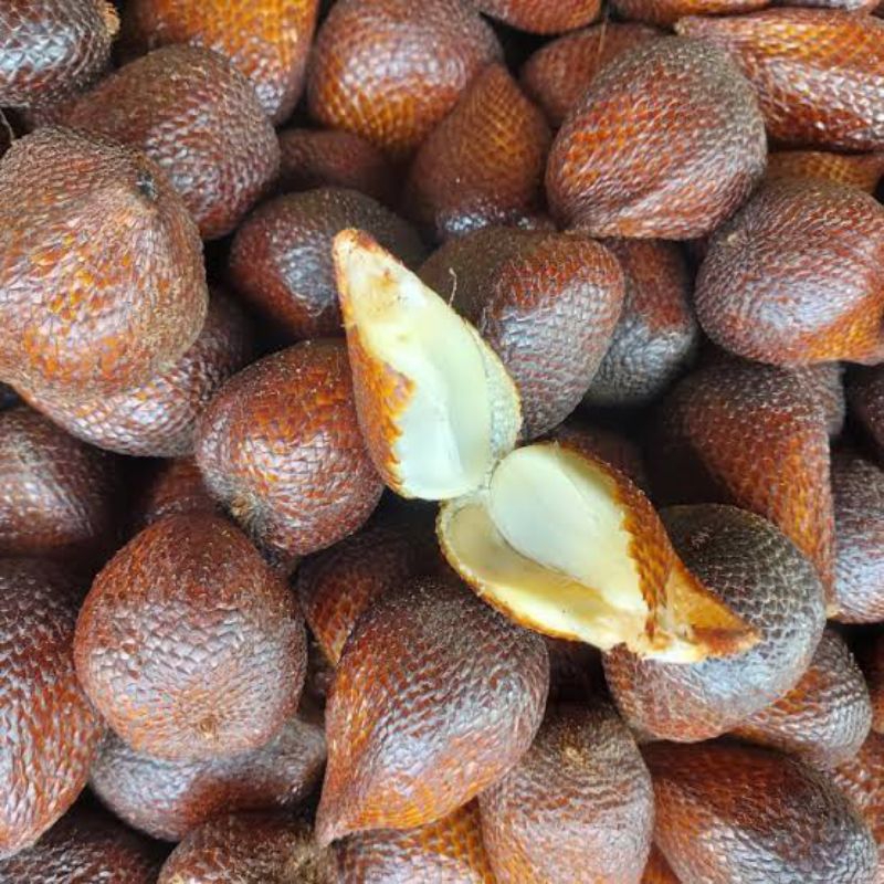 

Buah Salak / Salak Pondoh