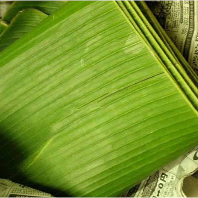 

DAUN PISANG SEGAR