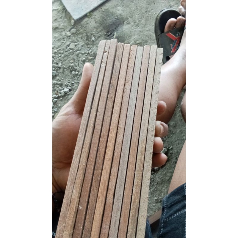 tempat bertelur lalat bsf