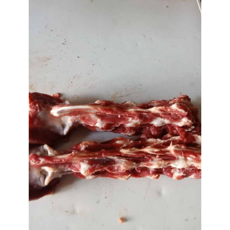 

TulangLeherKambingkering