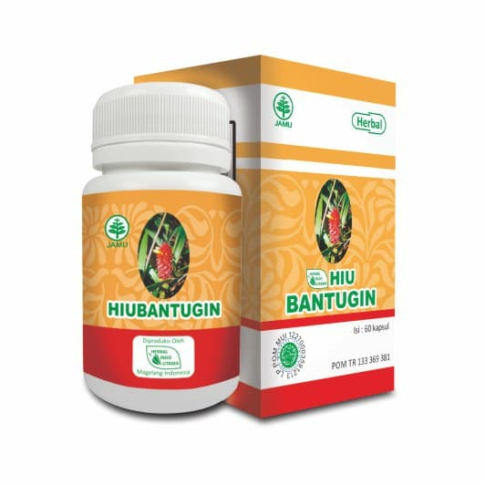 HIU BANTUGIN | Obat Batu Ginjal Penghancur Batu Ginjal