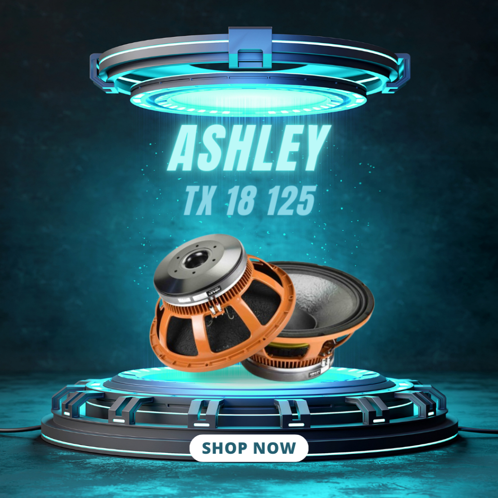 SPEAKER KOMPONEN ASHLEY TX 18 125 / TX-18125 / TX18125 WOOFER 18 INCH GARANSI RESMI ASHLEY