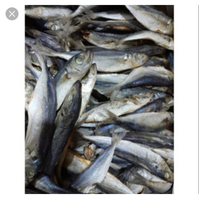 

1kg ikan asin asli madura enak