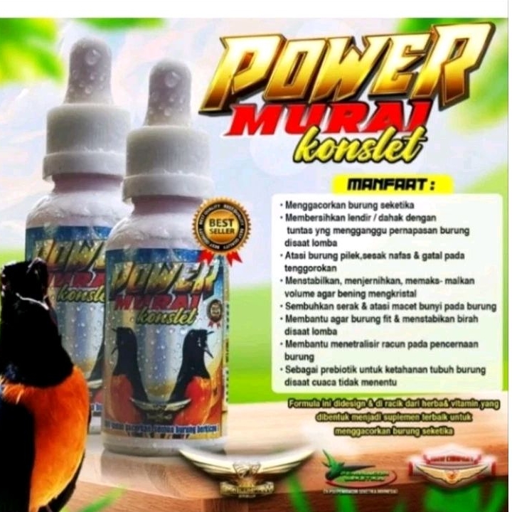 power murai konslet