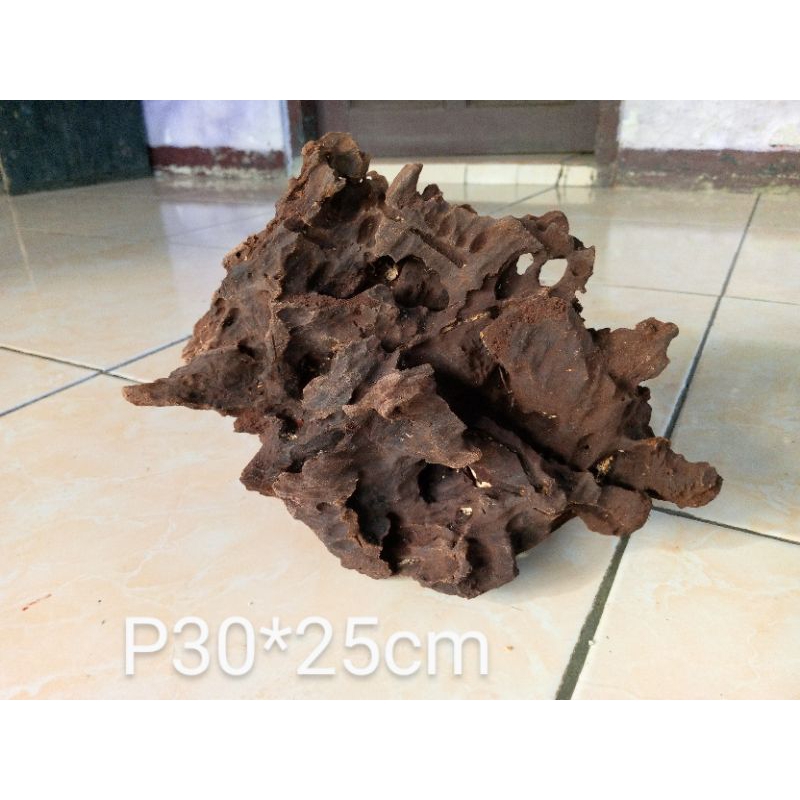 kayu aquascape ful tenggelam