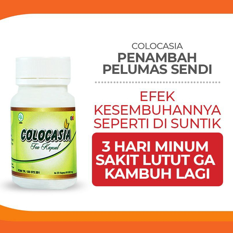 COLOCASIA Tea Kapsul Penambah Cairan Lutut ORIGINAL Lejel isi 20 - Obat Herbal Nyeri Sendi Kolokasia