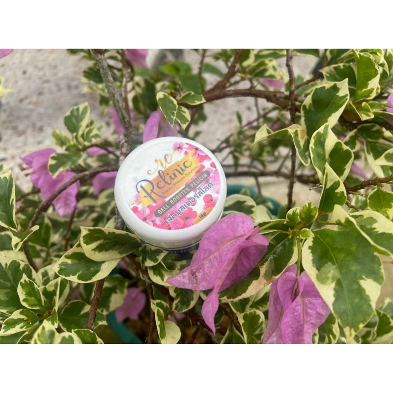 Night Cream Rclinic Pelicin | ALMAXIGLOW ORIGINAL