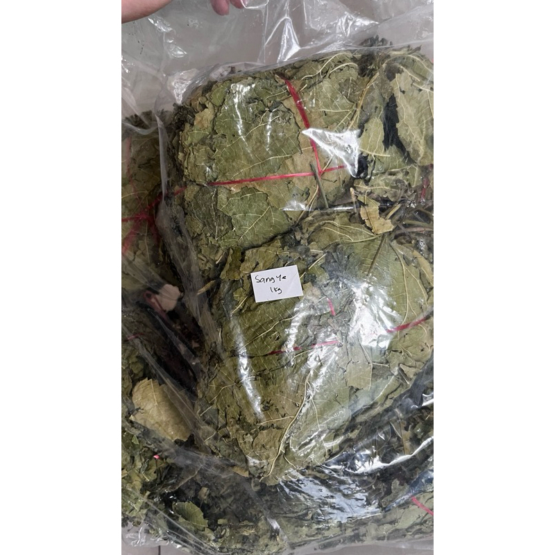 

SANG YE IKAT FOLIUM MORI MULBERRY LEAF LEAVES 100gr