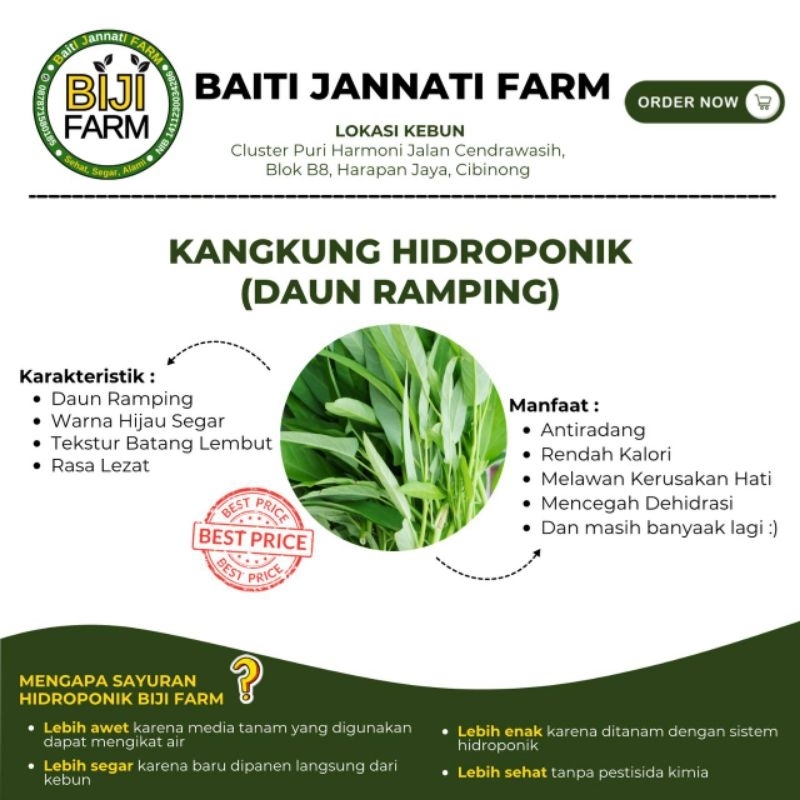

Kangkung Hidroponik