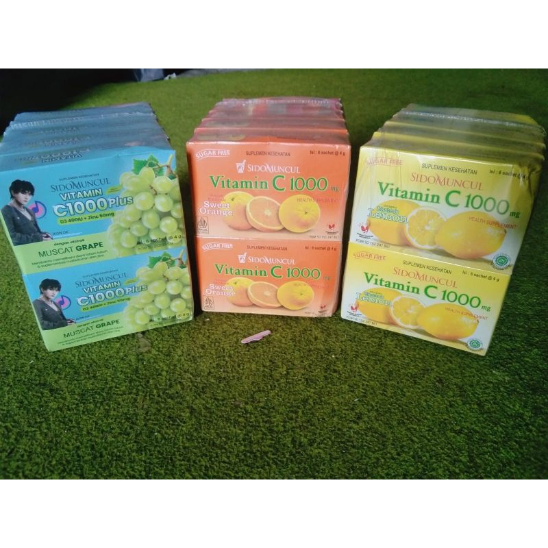 SIDOMUNCUL Vitamin C 1000 Box/6