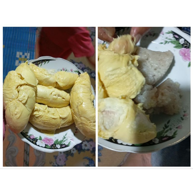 ketan durian