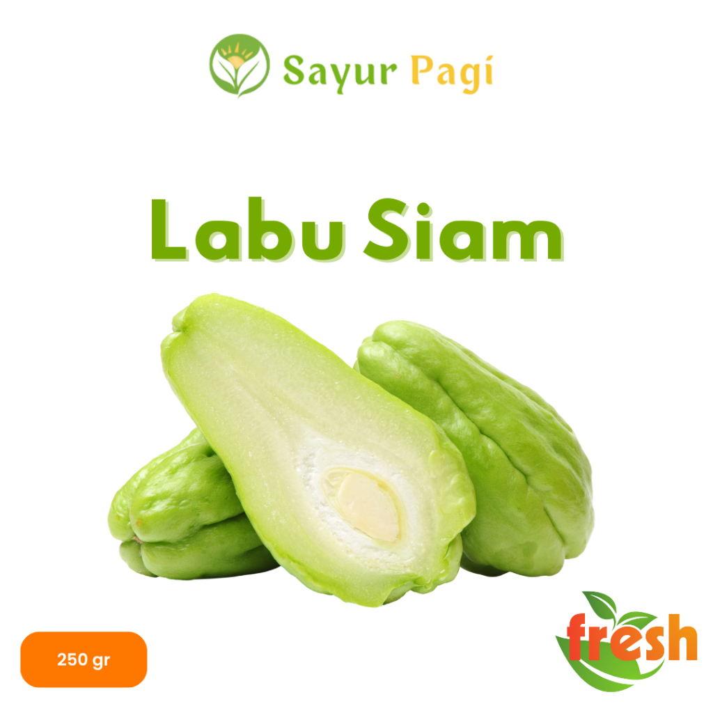 

Sayur Segar Labu Siam - Sayur Pagi Online