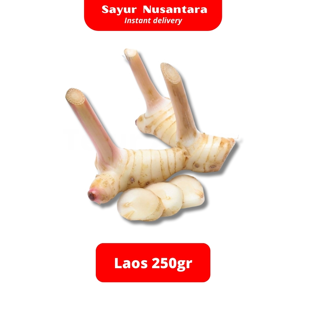 

Laos / Lengkuas 250gr - Sayur Nusantara KIRIM INSTANT
