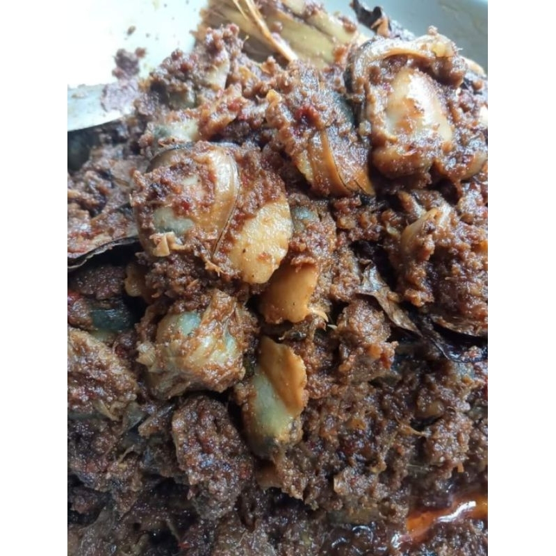 

rendang lokan khas padang