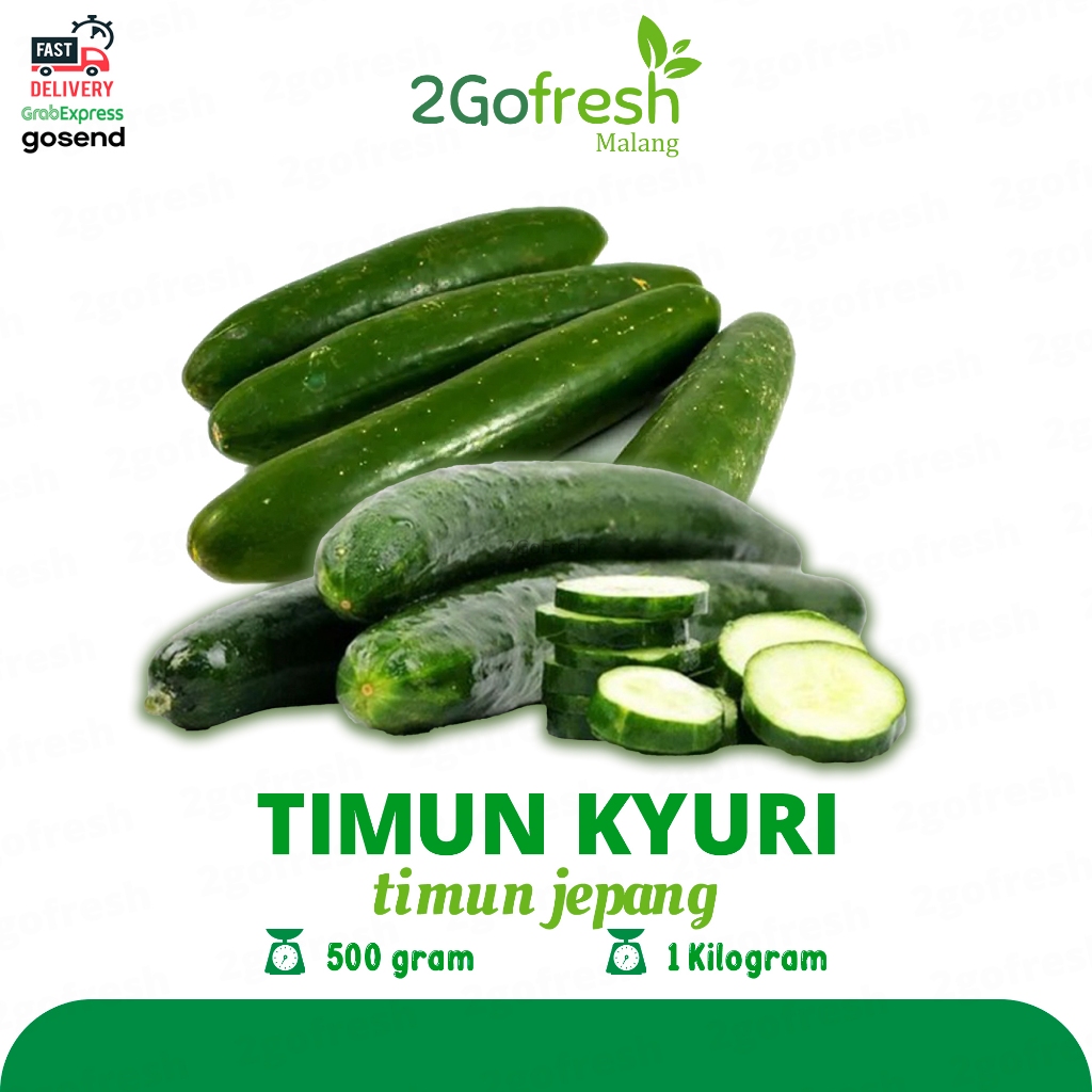 

Timun Kyuri / Timun Jepang / Kyuri Japanese Cucumber Fresh - Sayur Sayuran