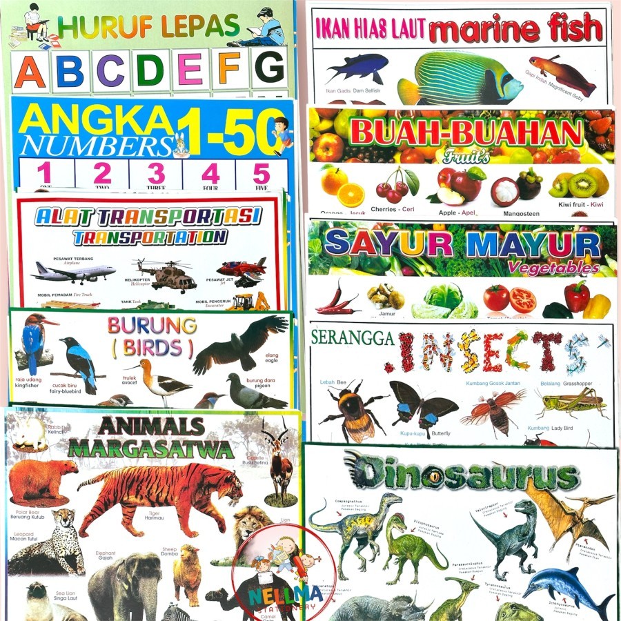 Paket 10 pcs Poster Edukasi anak Belajar Hewan dan Binatang