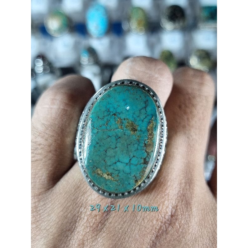 PIRUS PERSIA HIJAU