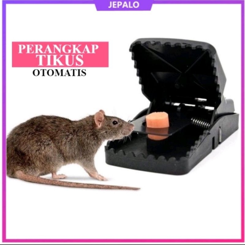 perangkap tikus otomatis jebakan tikus