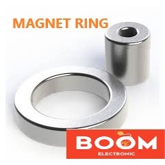 Magnet Neodymium Ring Diameter 15/20MM