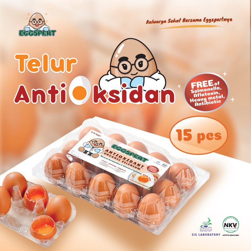 

Eggspert Telur Ayam Antioksidan (Organik Selenium) Kemasan Isi 15pcs