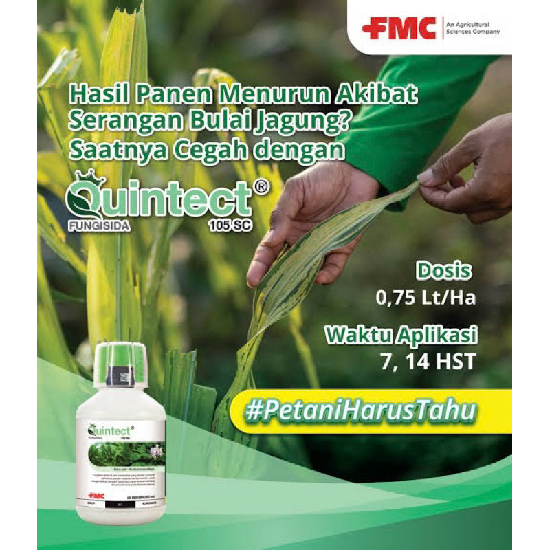 QUINTECT 250ml Fungisida Bulai Jagung