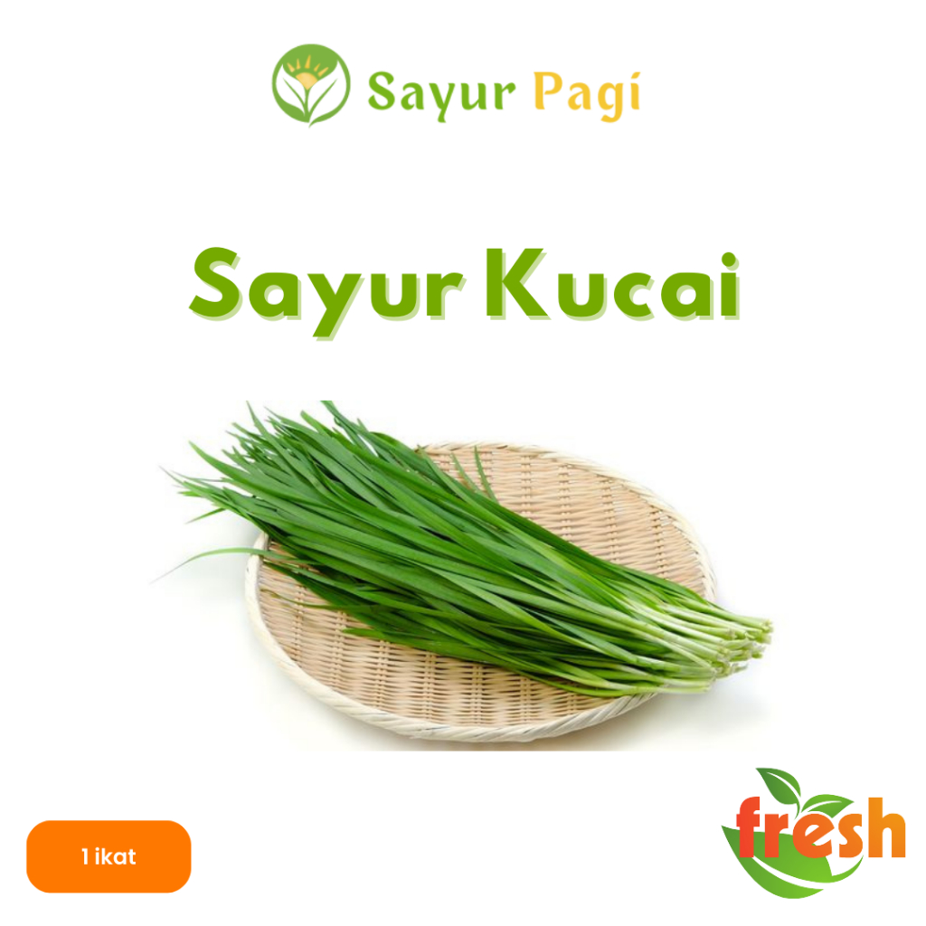 

Sayur Segar Sayur Kucai - Sayur Pagi Online