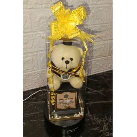 Boneka Wisuda Teddy Bear Ber Tedy Costom Kecil Mini Kado Wisuda Murah Hadiah Ulangtahun Grosir ultah