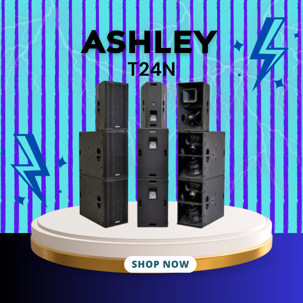 SPEAKER PASIF ASHLEY T24N / T-24N / T 24 N 2X12 INCH NEODYMIUM MAGNET GARANSI RESMI ASHLEY