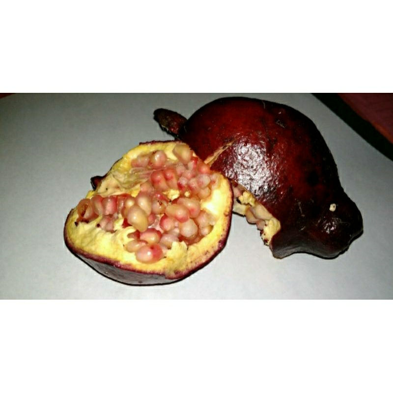 

Buah Delima putih,Buah Delima Hitam,