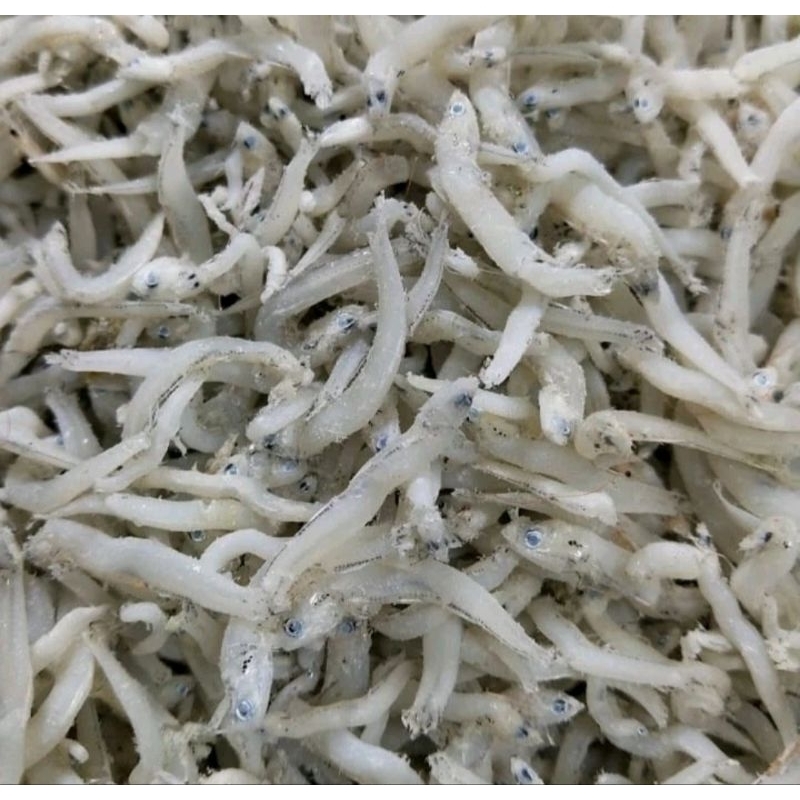 

Teri nasi medan box isi 250gr