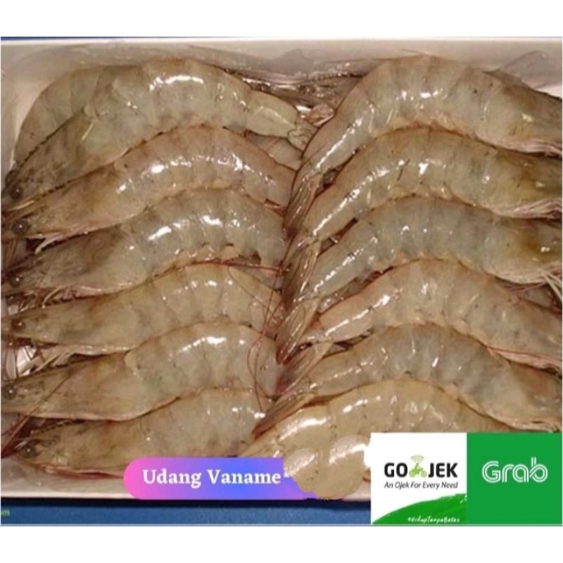 

Udang Vaname Super SegarFresh 1Kg