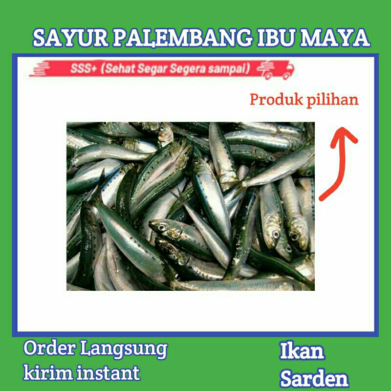 

Ikan Sarden fresh - Sayur Palembang ibu maya