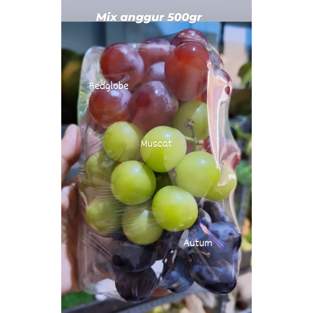 

Anggur Mix 500gr