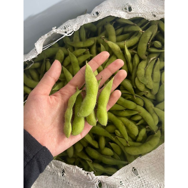 

Edamame (kacang kedelai)