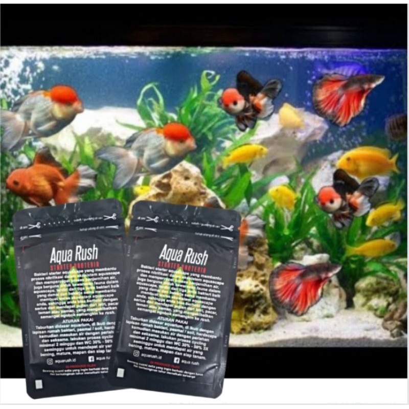 AQUA RUSH BAKTERI STATER AQUARIUM AQUASCAPE