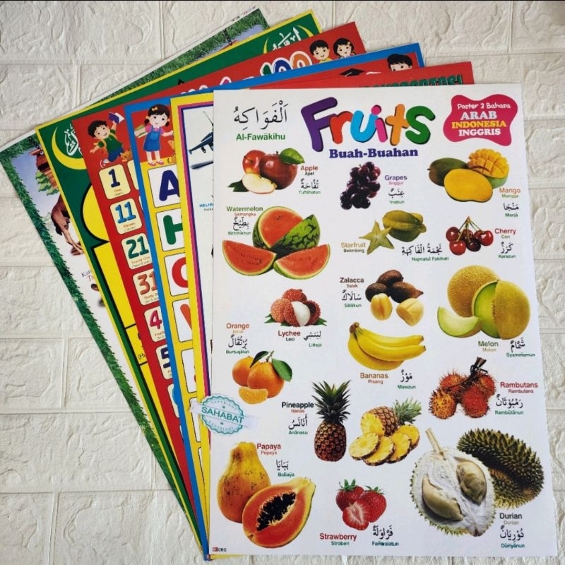 

Poster Kertas Edukasi Anak