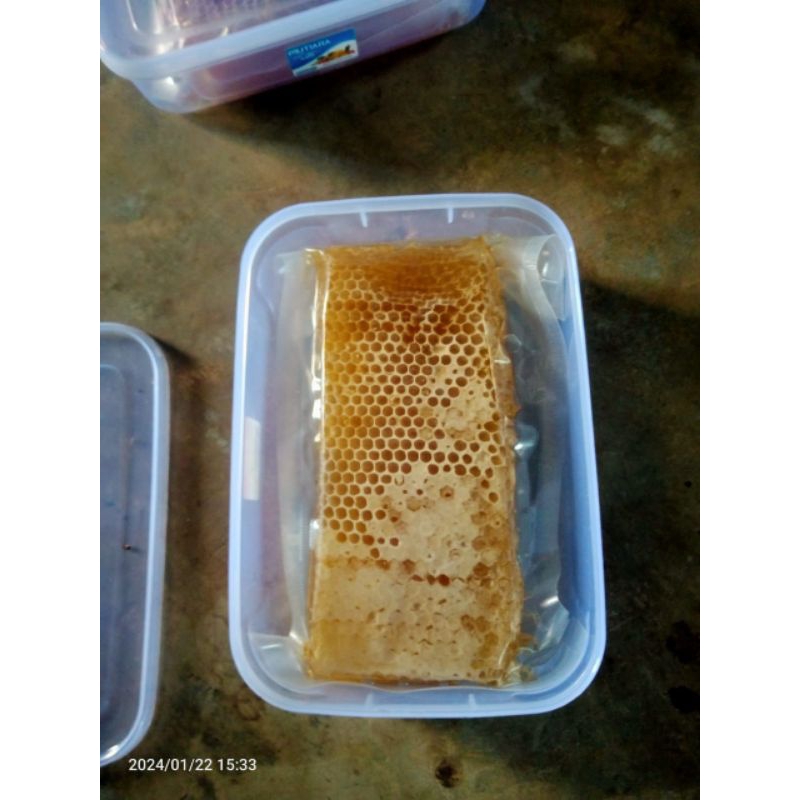 

madu sarang